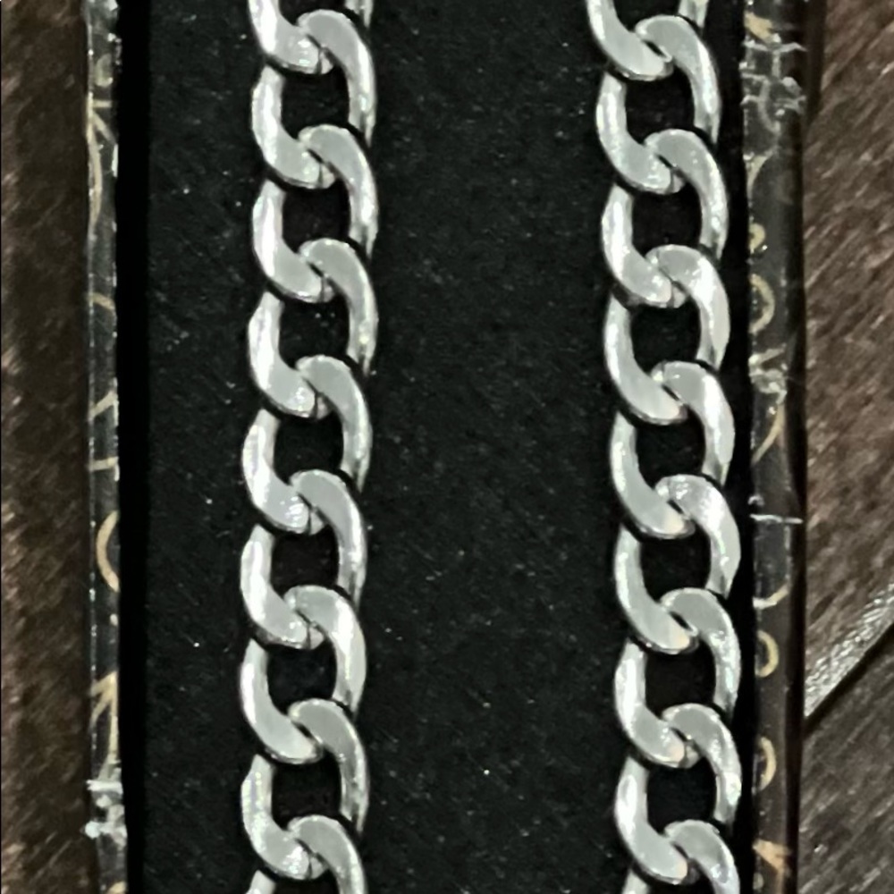 Stainless steel chain